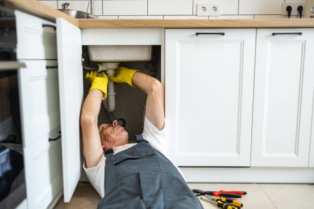 Best Septic Systems  in Granvle, IL