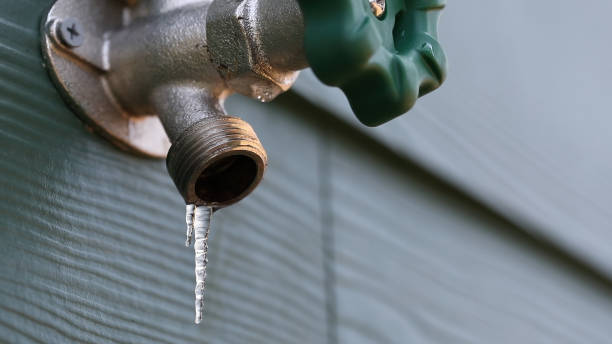 Best Affordable Plumbing Services  in Granvle, IL