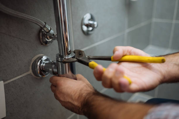 Best Local Plumber Services  in Granvle, IL
